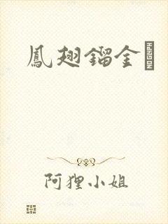 凤翅镏金镋封面