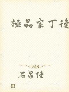 极品家丁后传