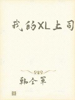 我的XL上司封面
