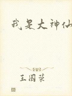 我是大神仙小说封面