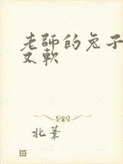 老师的兔子又大又软