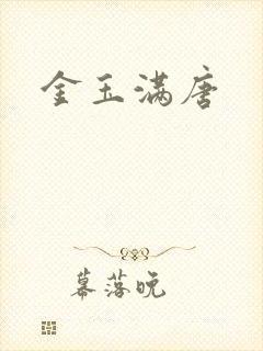 金玉满唐封面