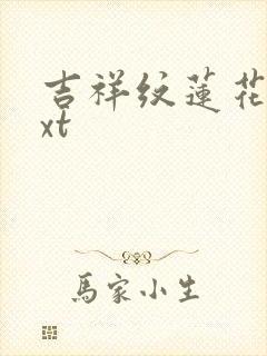 吉祥纹莲花楼txt