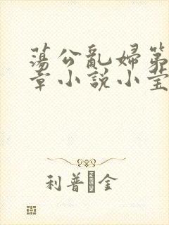 荡公乱妇第51章小说小莹