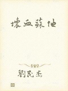 坏血苏他封面