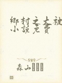 乡村之大被同眠小说免费