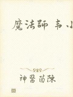 魔法师 韦小宝封面
