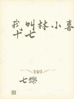 我叫林小喜今年十七