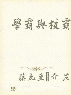 学霸与校霸