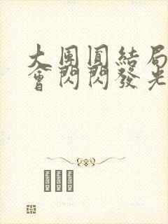 大团圆结局亲情会闪闪发光封面