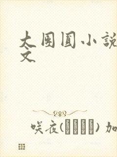 大团圆小说集全文