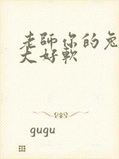 老师你的兔子好大好软