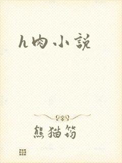 h肉小说