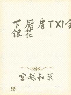 下厨房TXl金银花