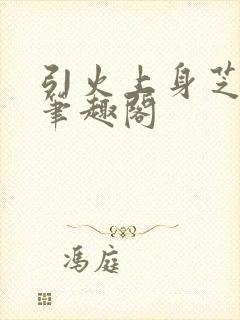 引火上身芝麻糖笔趣阁封面