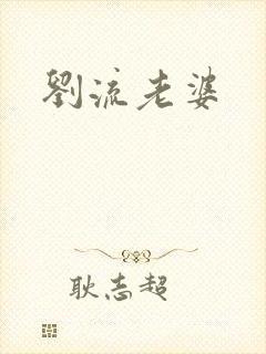 刘流老婆