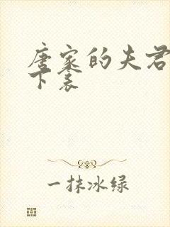 唐家的夫君们帘下衾