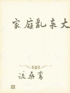 家庭乱来大杂烩封面