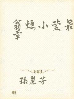 翁熄小莹最新节章