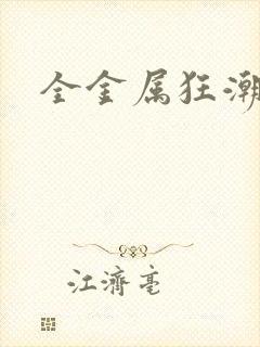 全金属狂潮小说