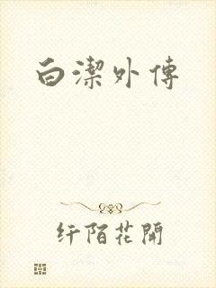 白洁外传