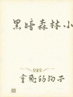 黑暗森林小说封面