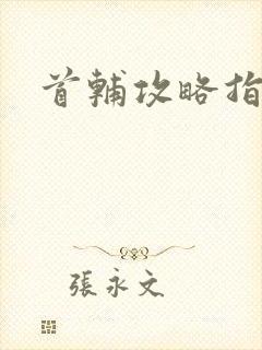首辅攻略指南封面