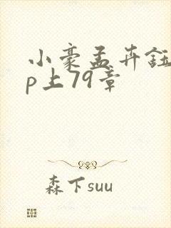 小豪孟卉钰慧三p上79章封面