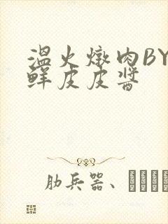 温火炖肉BY海鲜皮皮酱