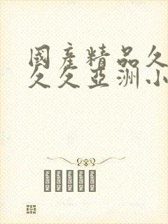 国产精品久久久久久亚洲小说