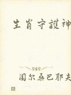 生肖守护神封面