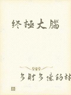 终极大脑