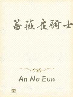 蔷薇夜骑士