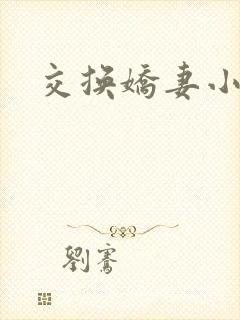 交换娇妻小说