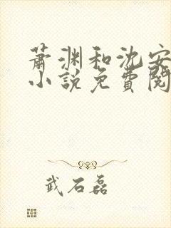 萧渊和沈安安的小说免费阅读封面