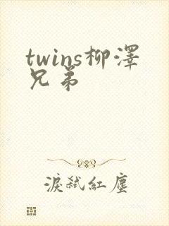 twins柳泽兄弟封面