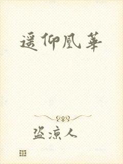 遥仰凰华封面