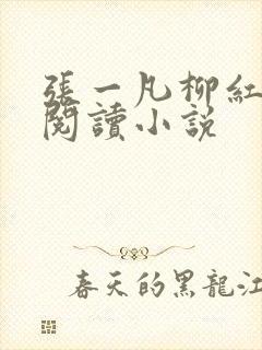 张一凡柳红免费阅读小说封面