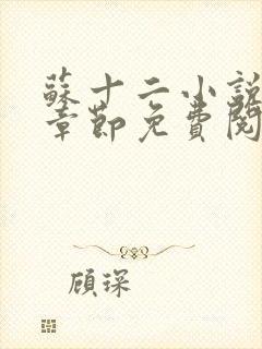 苏十二小说最新章节免费阅读全文封面