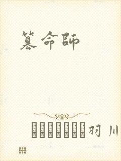 篡命师