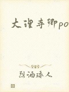 大理寺卿po封面