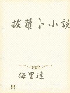 拔萝卜小说