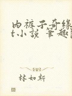 内裤子奇缘txt小说 笔趣阁