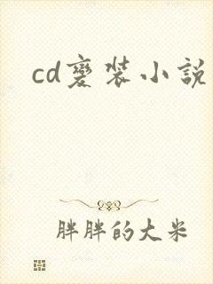 cd变装小说