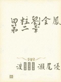 田柱刘金凤小说第二章