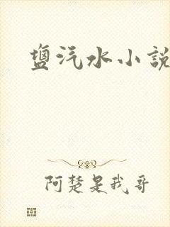 盐汽水小说
