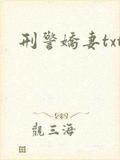 刑警娇妻txt