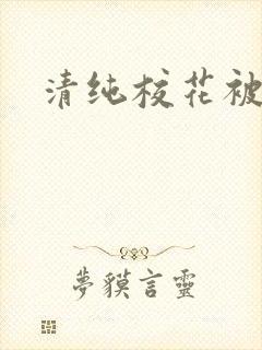 清纯校花被c封面