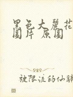 黑色大丽花真实图片 原图封面