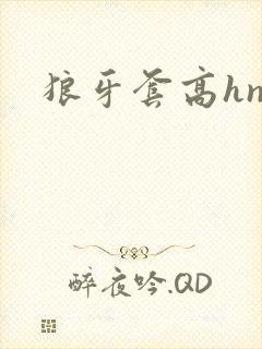 狼牙套高hnp